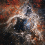 Tarantula nebula captured by james webb