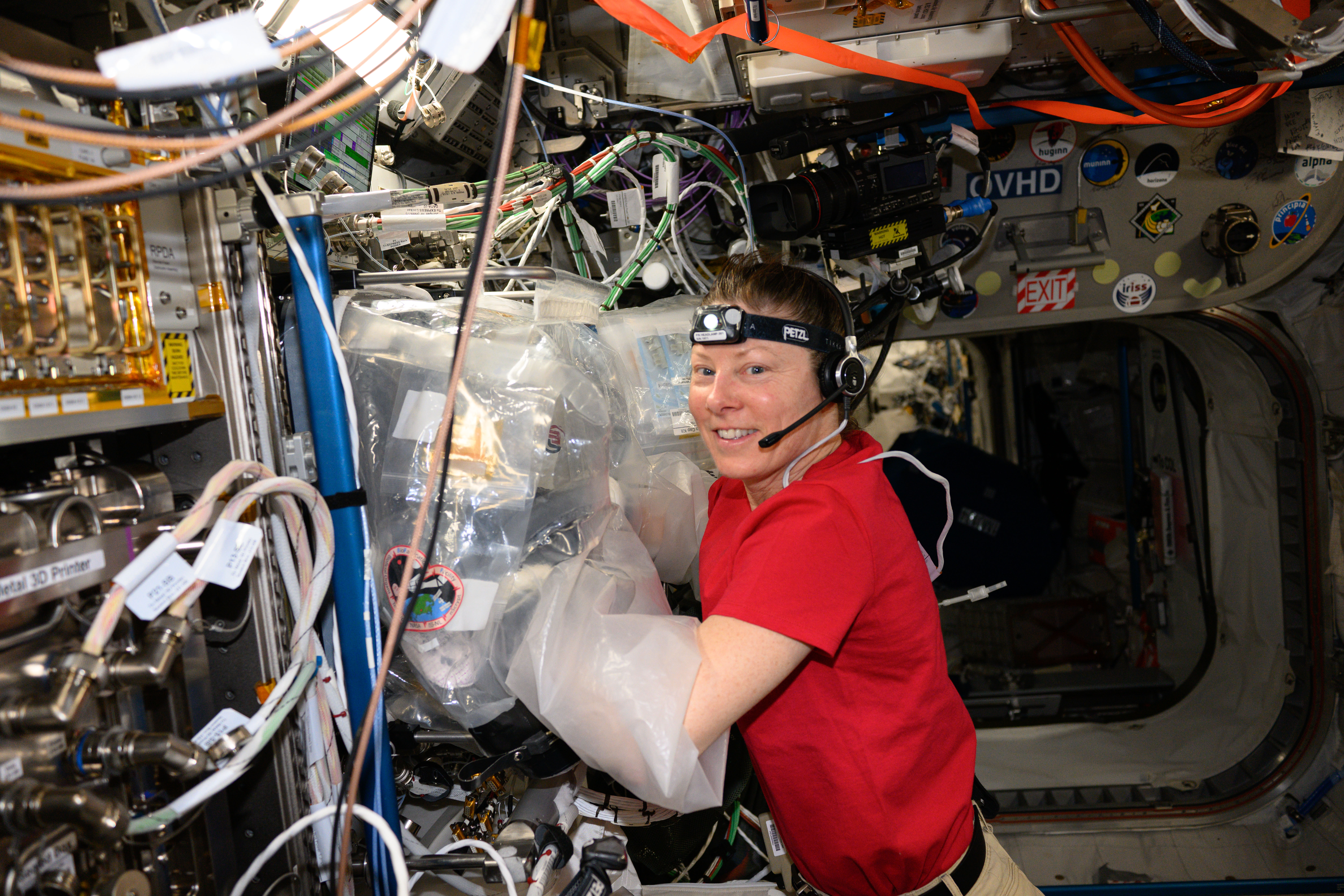 Expedition 71 Flight Engineer and NASA astronaut Tracy C. Dyson works in the BioFabrication Facility's portable glovebag located in the Internation...