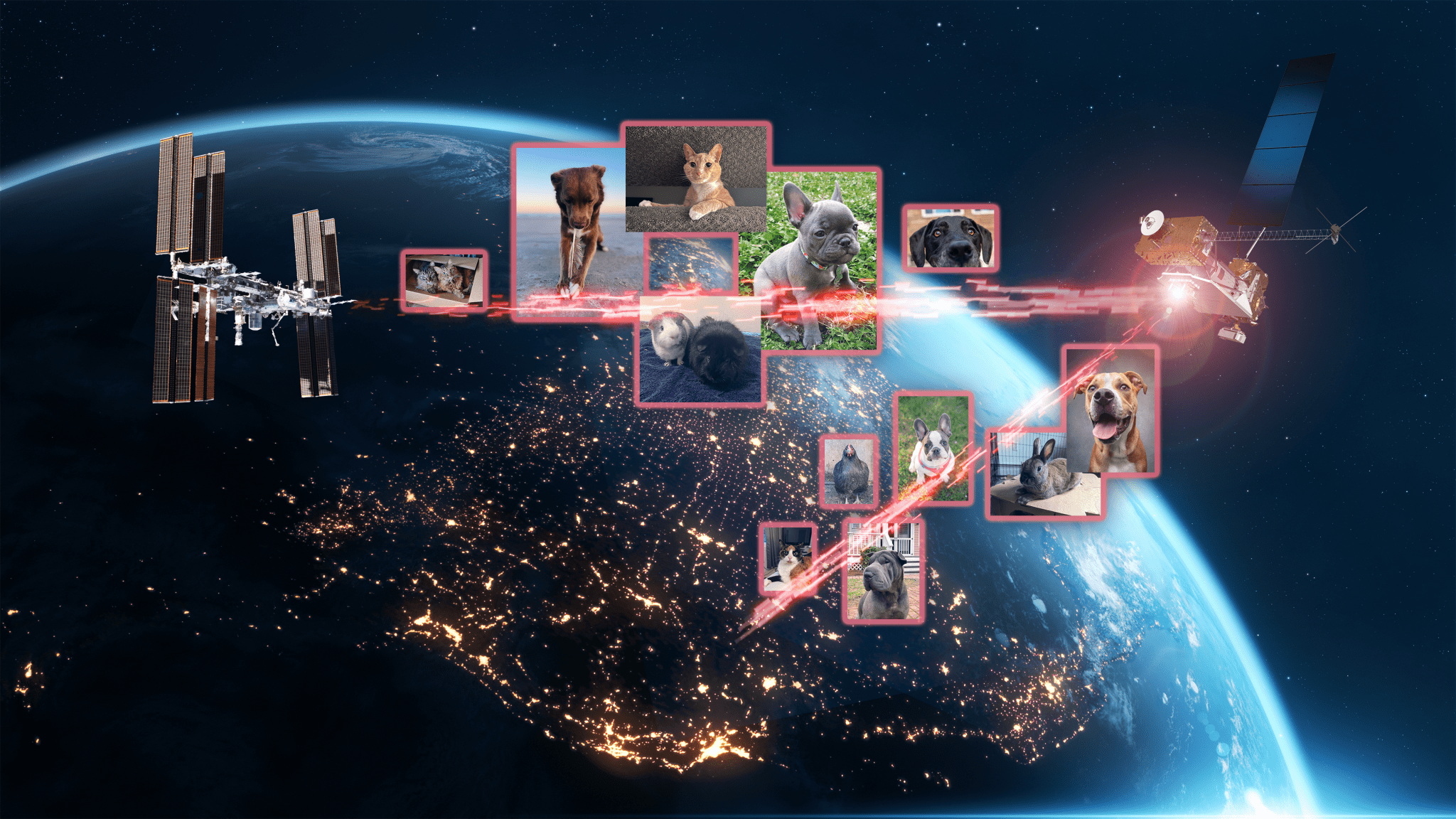 The backgrounds shows a view of Earth from space with sparkling lights across the Erath's surface. We see an image of the International Space Station sending a red laser signal to the LCRD spacecraft, which then connects down to Earth. Twelve photos of cats and dogs are placed across the red laser signal, representing the data sent through space during this demo.