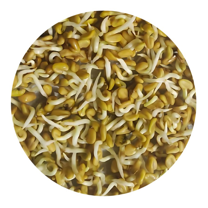 A tangle of tannish-yellow seeds with small white sprouts fills a circular image.